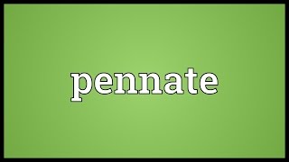 Pennate Meaning [upl. by Giddings]