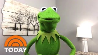 Kermit The Frog Says Its Easy To Be Green With This Advice [upl. by September594]