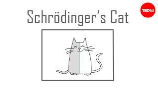 Schrödingers cat A thought experiment in quantum mechanics  Chad Orzel [upl. by Lotsirhc]