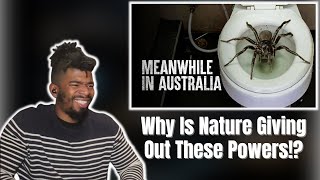 AMERICAN REACTS TO Surviving More Deadly Australian Animals [upl. by Ahsiya]