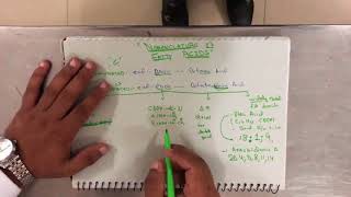 nomenclature of fatty acids [upl. by Illak]