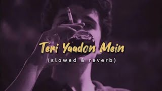 Teri Yaadon Mein Slowed amp Reverb KK Shreya Ghosal  The Killer slowedandreverb viral [upl. by Ynohtona]