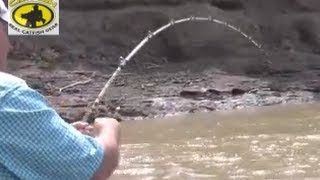 How to catch channel catfish in a muddy creek with catfish bait Team Catfish Video 1 [upl. by Bello836]