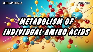 Chapter  3  Metabolism Of Individual Amino Acids Part3  Hindi [upl. by Yllrebmik]