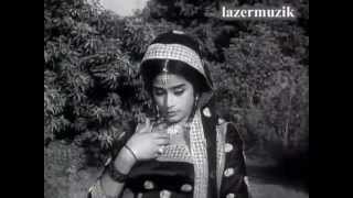 NOOR JEHAN MAHI VE MAINU LAAL GUDDO [upl. by Ahar507]