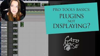 Pro Tools Basics Plugins Not Displaying Plugins Not Showing [upl. by Siward]