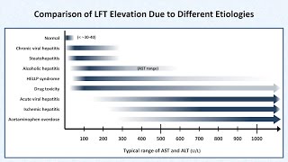 Interpretation of LFTs Liver Function Tests [upl. by Selina]