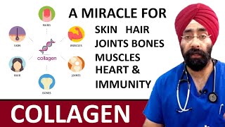 COLLAGEN  The Miracle Supplement for Skin Joint Bones Heart amp Immunity  DrEducation Hindi Eng [upl. by Ivett]