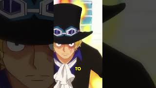 How Strong Sabo Actually Is In One Piece Universe onepiecefacts onepiece sabo strawhats [upl. by Ziwot660]