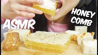 ASMR HONEYCOMB Extremely STICKY Satisfying EATING SOUNDS NO TALKING  SASASMR PART 2 [upl. by Lesoj518]