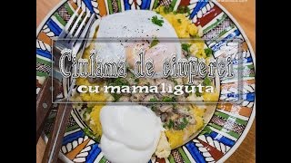 Reteta ciulama de ciuperci cu mamaliguta  Bucatarialuiradu [upl. by Lledroc692]