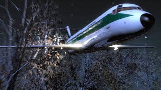 A Captains Decision to Overrule His First Officer Ends in Disaster [upl. by Yager]