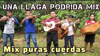 UNA LLAGA PODRIDA  CONJUNTO LEVÁNTATE Y RESPLANDECE Video oficial [upl. by Edmund]