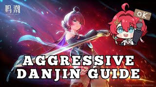 【Wuthering Waves】Aggressive Danjin Playstyle Guide  DodgeParryDelay [upl. by Soalokcin626]