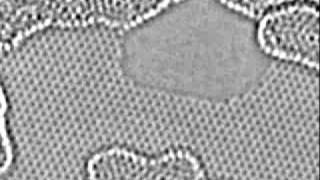 Carbon atoms moving at the edge of a hole in graphene [upl. by Tlihcox]