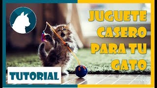 🐈 Juguete para gatos casero🐾  juguete con plumas🍂🍃 [upl. by Vassaux]