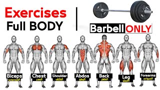 Full Body Barbell WORKOUT homesquats chest triceps biceps back shoulder wrist Abs oblique [upl. by Alac869]