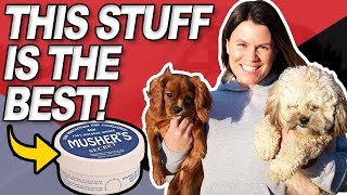 Best Dog Paw Care For Winter  Mushers Secret Review [upl. by Ahsitil24]