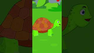 La Famille Tortue  Comptine Animée pour Enfants 🐢🎶 chansonpourenfants lafamilletortue comptine [upl. by Sezen]