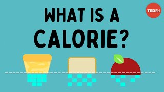 What is a calorie  Emma Bryce [upl. by Severin]