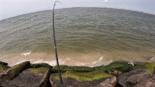 Surf Fishing MidSummer all over Long Island [upl. by Morrell]