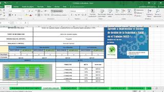 INDICADORES DE GESTION EN SEGURIDAD Y SALUD EN EL TRABAJO [upl. by Ddal]