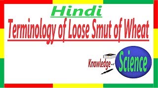 Terminology  Loose Smut of wheat  Plant Pathology  Hindi  PPP 1 [upl. by Hanah]