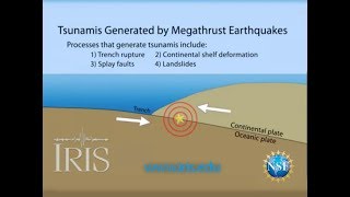 Tsunamis Generated by Megathrust Earthquakes [upl. by Laura]