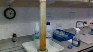 Hydrogen Peroxide and Potassium Iodide [upl. by Kellene]