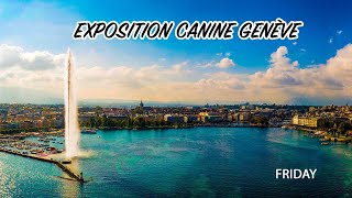 Exposition Canine Genève  FRIDAY [upl. by Zingale546]