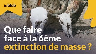 Que faire face à la 6ème extinction de masse   Interview [upl. by Nauqaj]