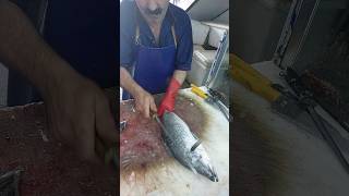 Fish Cutting Barramundi Sea Bass [upl. by Ackley]