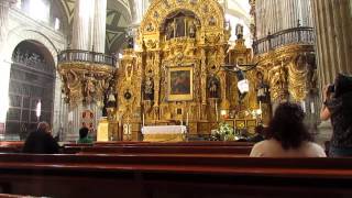 Mexico City Cathedral  Zocalo  Organ Playing [upl. by Ecilayram]