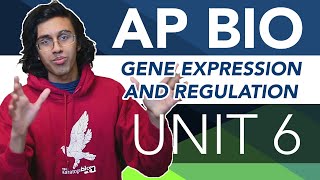 AP Biology Unit 6 Crash Course Gene Expression and Regulation [upl. by Emogene]