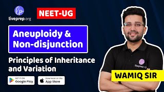 Aneuploidy and NonDisjunction  Principles of Inheritance and Variation by Wamiq Sir [upl. by Aimat251]