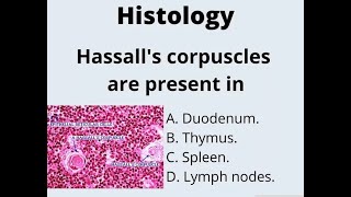 hassalls Corpuscle  Definition Functions Structure Thymus anatomy [upl. by Dine]