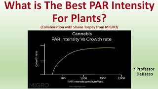 What is the Best PAR Intensity For Plants Collaboration with Shane Torpey from MIGRO [upl. by Hseyaj]