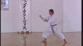 Shotokan  Heian Godan [upl. by Robbie]