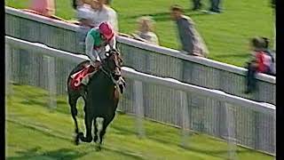 1993 Dante Stakes Tenby Includes Replay [upl. by Baumann]