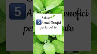 ‼️SALVIA🌱 PROPRIETÀ e CONTROINDICAZIONI short [upl. by Nealon]