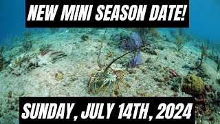 MINI LOBSTER SEASON ALERT New Dates Added July 14th Florida Keys 2024 [upl. by Aikaz]