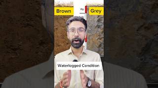 भारत में कृषि के लिए उपयुक्त मिट्टी  मिट्टी Soil Fluvisols inceptisols soilorder SoilTexture [upl. by Maibach591]