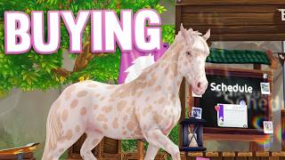 BUYING NEW HORSE  Champion Ranks  Star Stable [upl. by Ohara]