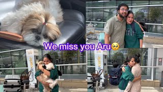 Murphy Aru ke jaane pai bhut udaas ho gaya  come back soon [upl. by Fara480]