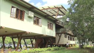 Guia orienta a construção de edifícios sustentáveis [upl. by Philbrook]