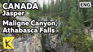 【K】Canada TravelJasper캐나다 여행재스퍼말린 협곡 애서배스카 폭포Maligne CanyonValleyRockyAthabasca Falls [upl. by Wolram]