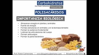 Polisacáridos clasificación  Carbohidratos Parte X [upl. by Ycul]