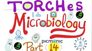 TORCHeS infections  Toxoplasma Others Rubella CMV Herpes HIV Syphilis  Picmonic Micro 14 [upl. by Ailito]