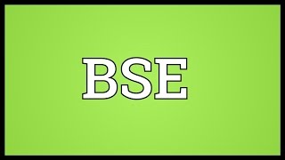 BSE Meaning [upl. by Anikal692]