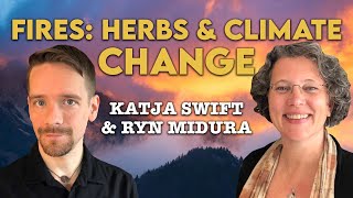 AUDIO  Herbs for Wildfire Smoke with Katja Swift amp Ryn Midura [upl. by Ahsratan160]